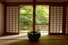 庭