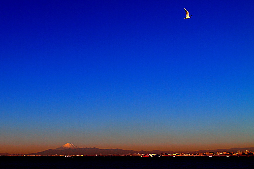 遠方富士　～カモメが飛んだ日～