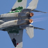 2011 新田原基地　航空際　F-15