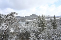 雪景色