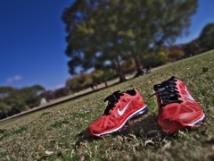 HDR and TILT_SHIFT