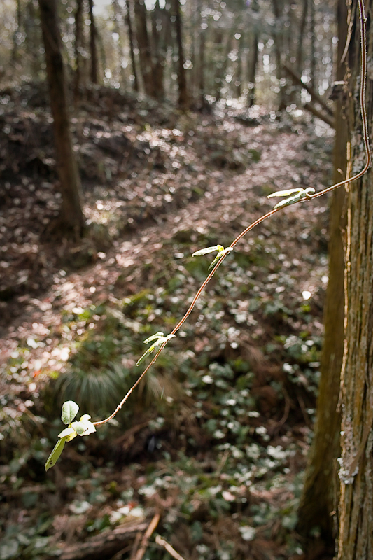 20120226-SDIM3268