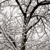 20120202-SDIM3237