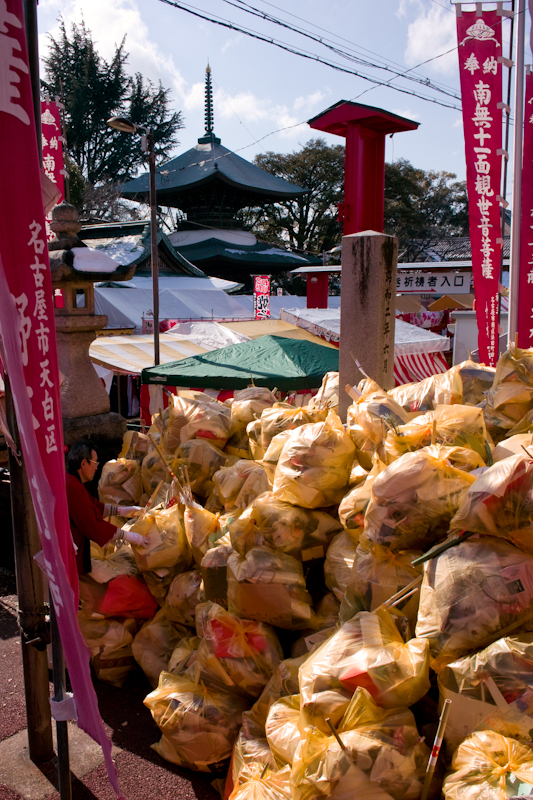 20120203-SDIM3252