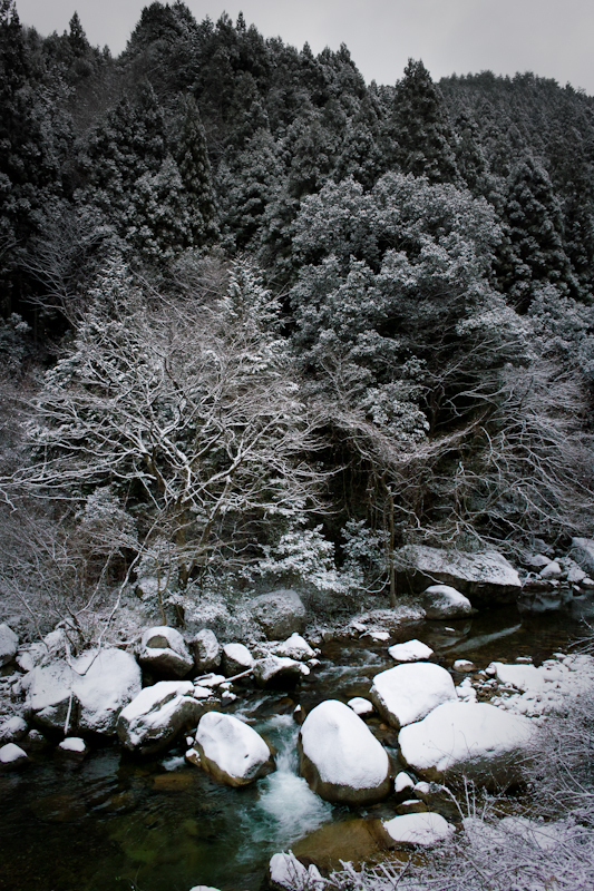 20111225-SDIM3217