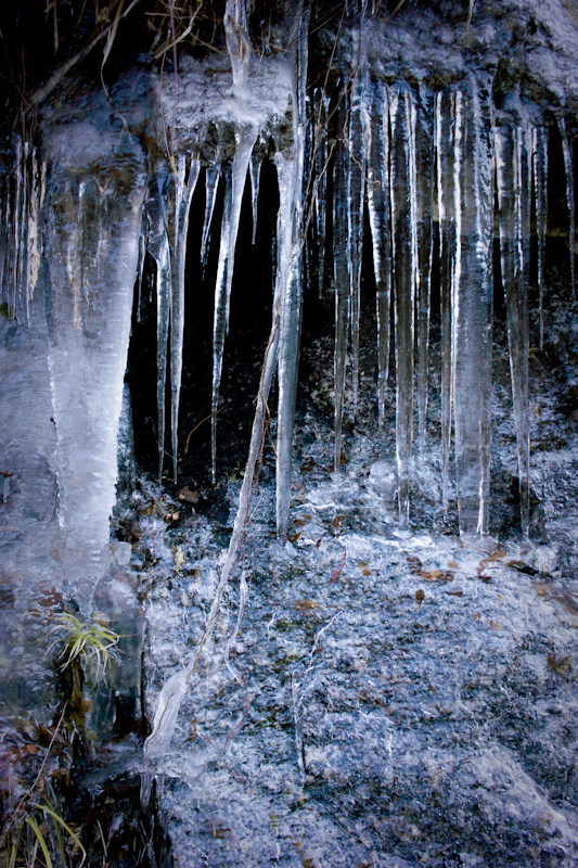 20120212-SDIM3260
