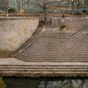 20120123-SDIM3235