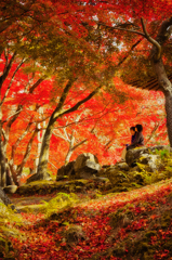 浮雲園地の紅葉