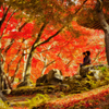 浮雲園地の紅葉