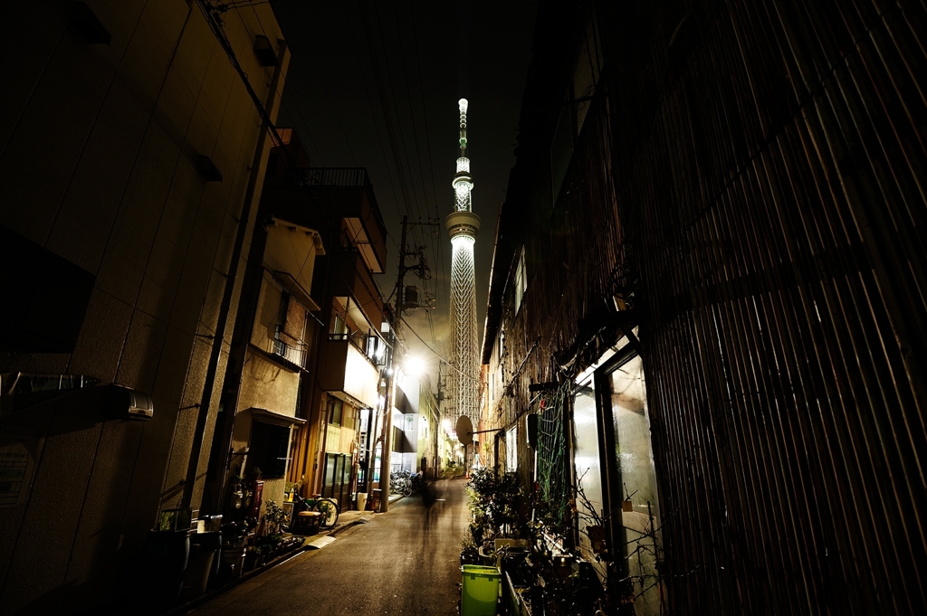 ライトアップ１。