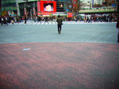 Shibuya crossing
