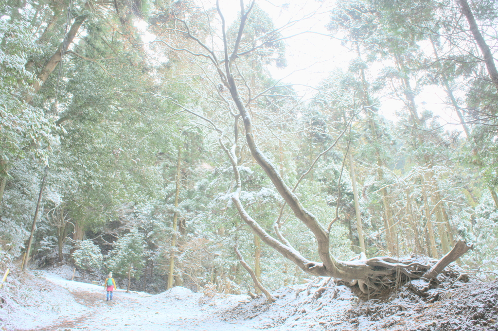 聖なる山にて