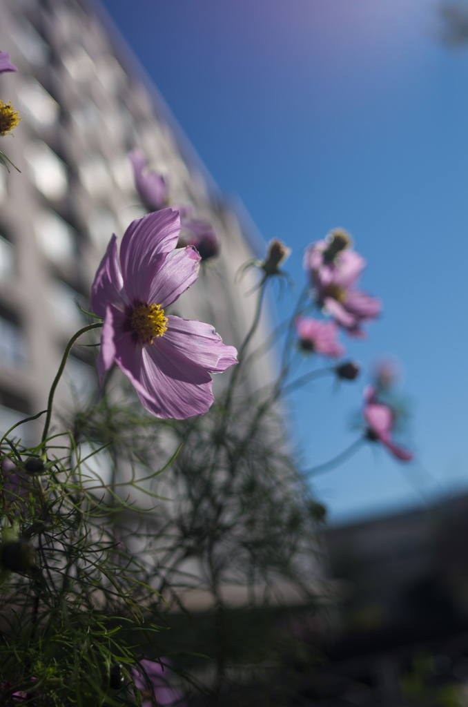 IMGP7304-1