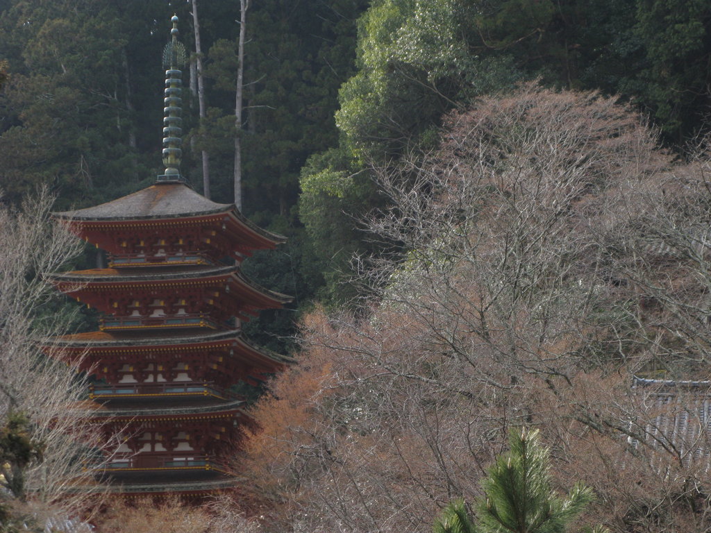 冬の五重塔