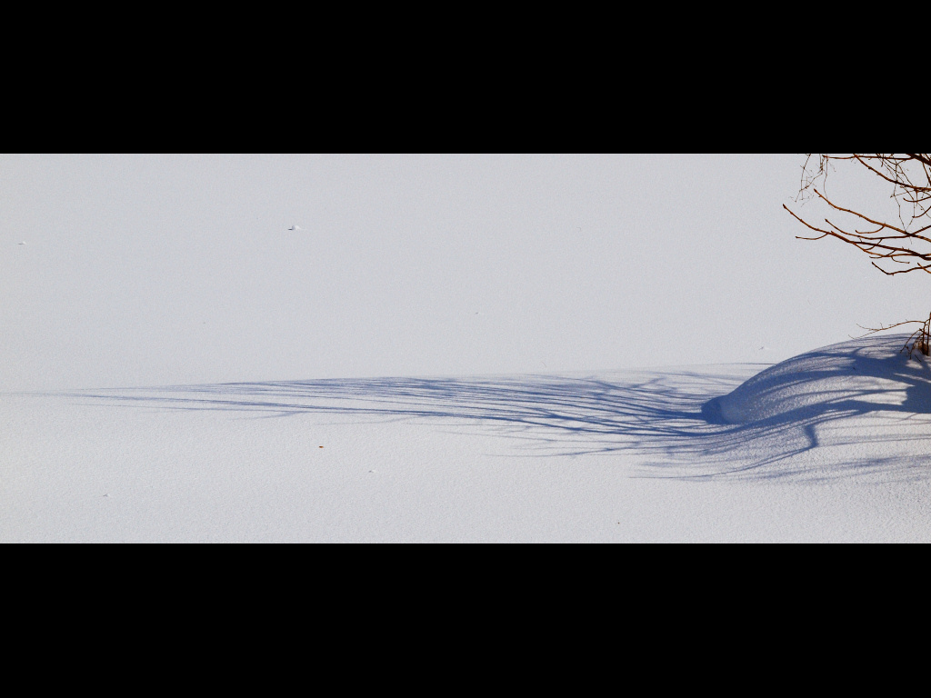 雪肌を―