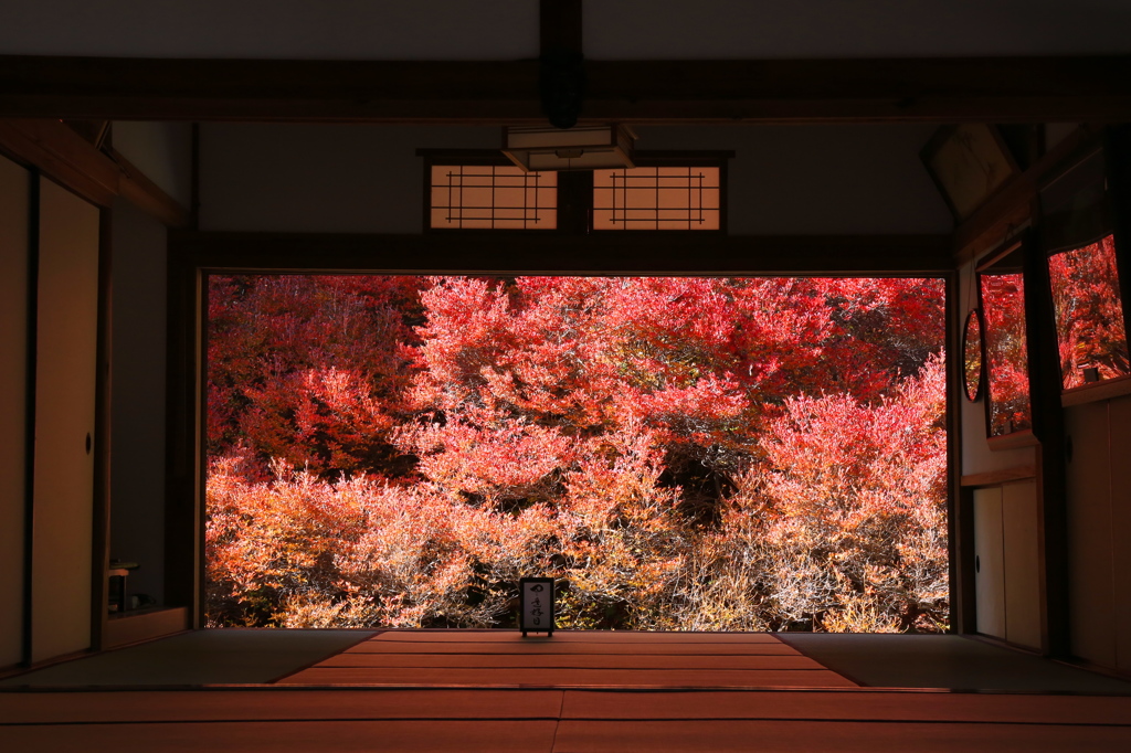 額の中の紅葉