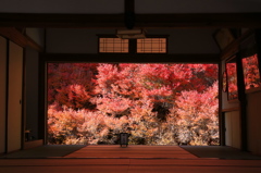 額の中の紅葉