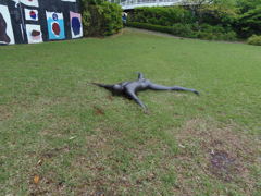 やばいッ！見つかる！！