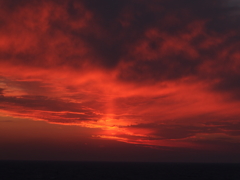 夕焼け焼けた