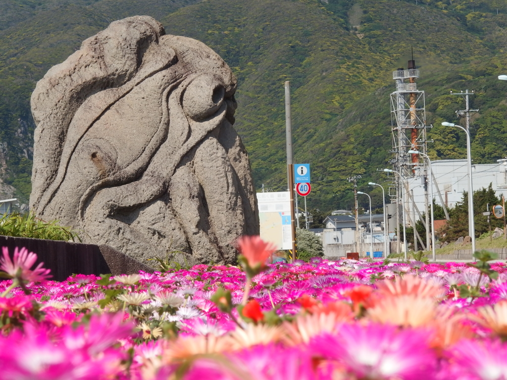 花の季節