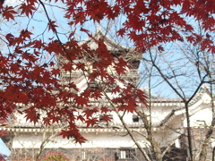 犬山城の秋