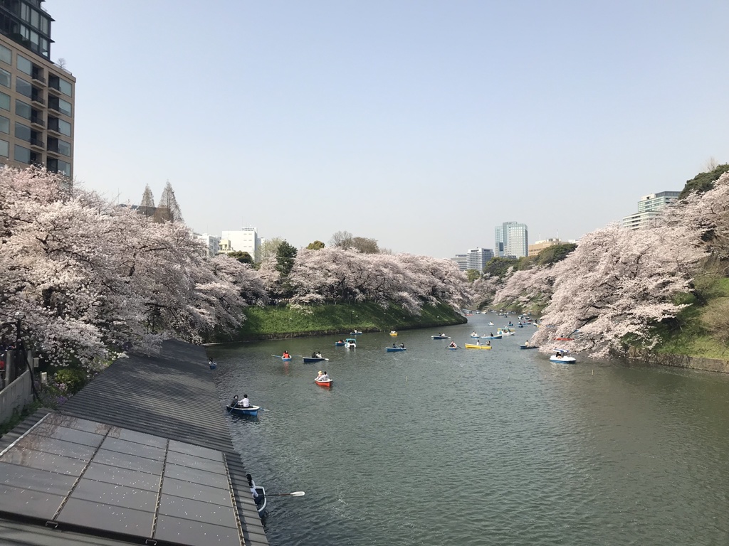 都会の春