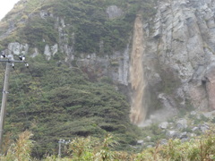 大雨の後に現れたのは・・・