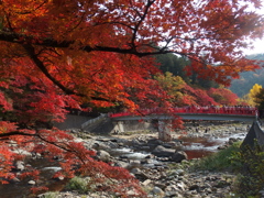 秋の装い 香嵐渓