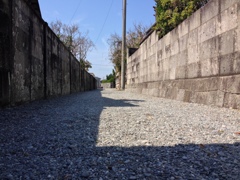 砂んごの道