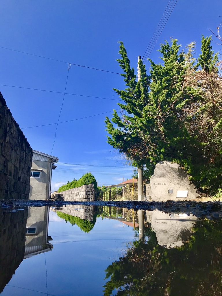 雨上がり