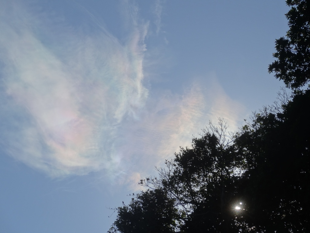 淡い彩雲