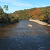 紅葉色づく五十鈴川