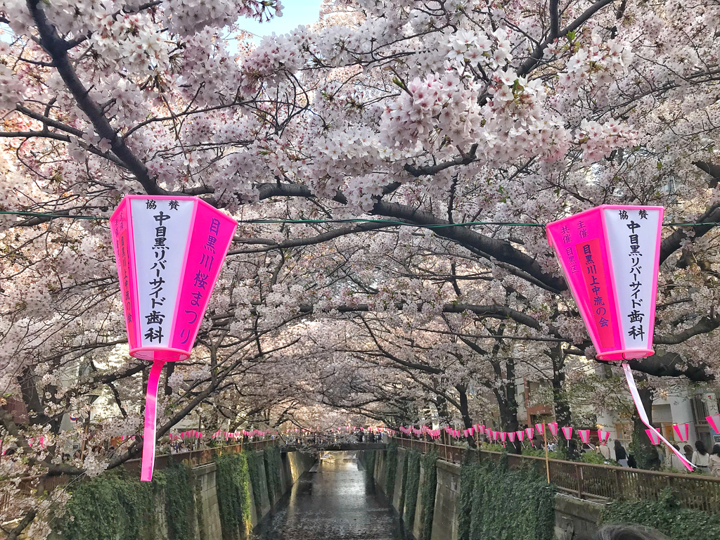 春の香りを運ぶ川