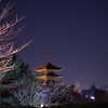 八坂の塔