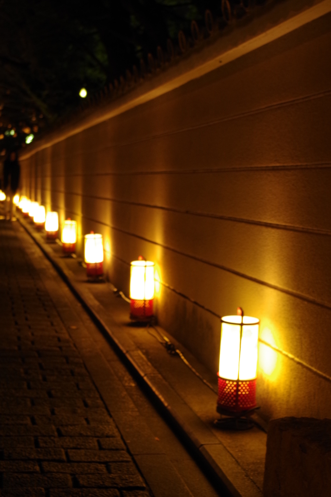 京都東山花灯路_papa