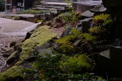山を越えて、お寺に出る。