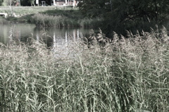 IMGP3682