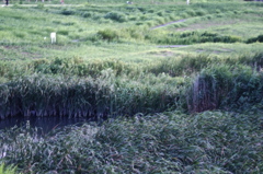 IMGP3393