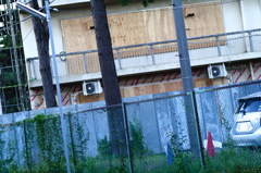 IMGP3375