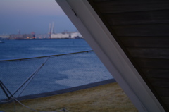 IMGP3019