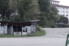 IMGP3740