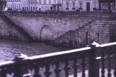 IMGP3894