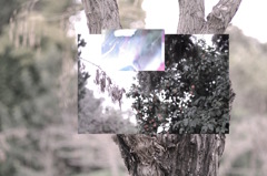 IMGP4215