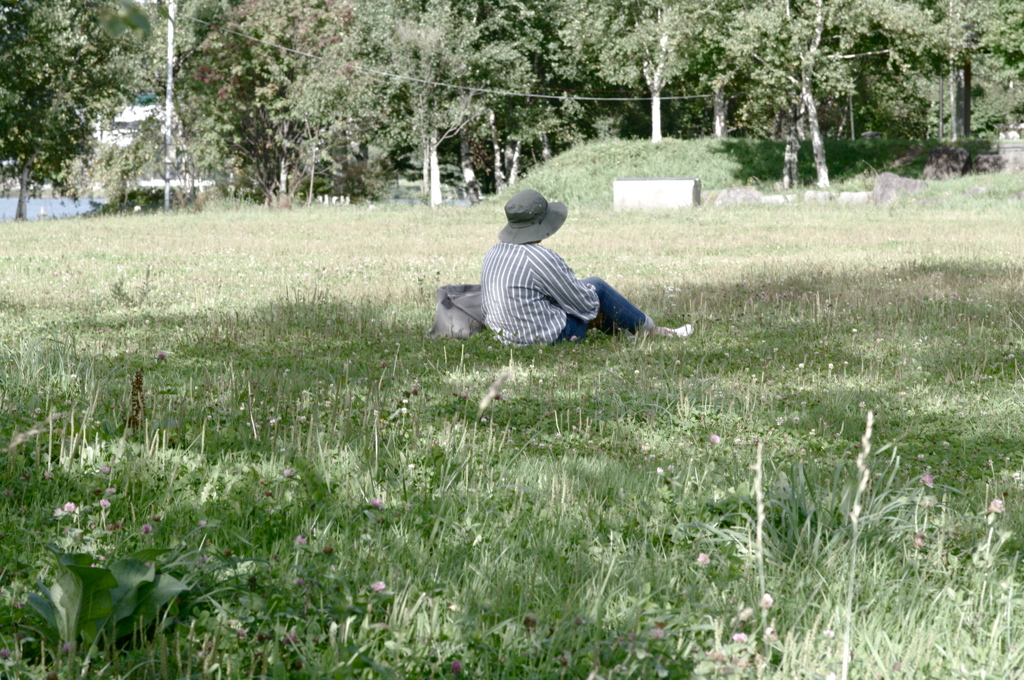 IMGP3729