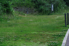 IMGP4618_1