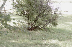 IMGP3673