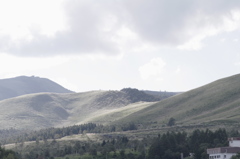 IMGP3687