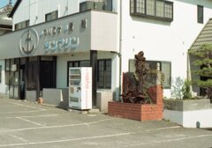 ロモ　カラーネガ100