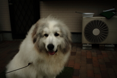 昨日の写真カラー