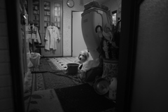 まったりしてるココさん